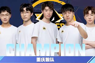 借鉴